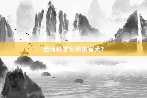 若何科学饲养贵客犬？