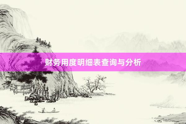 财务用度明细表查询与分析